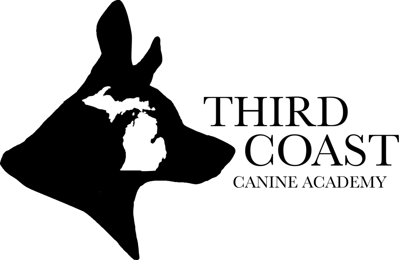 Dog Training and Boarding Charlevoix Northern Michigan